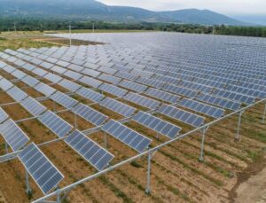 Solar Field Agrivoltaic 26 Solar Electric Freedom Solar Field